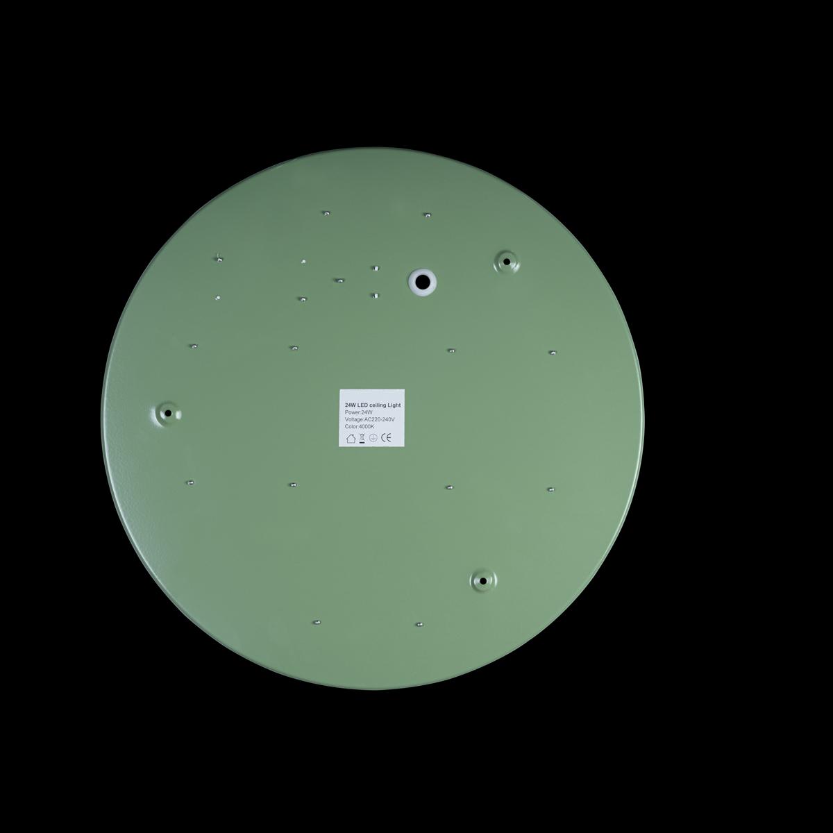 Потолочный светильник Loft IT AXEL 10002/24 Green
