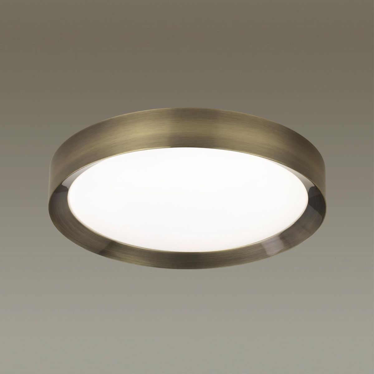 Настенно-потолочный светильник Odeon Light Lunor 4948/45CL