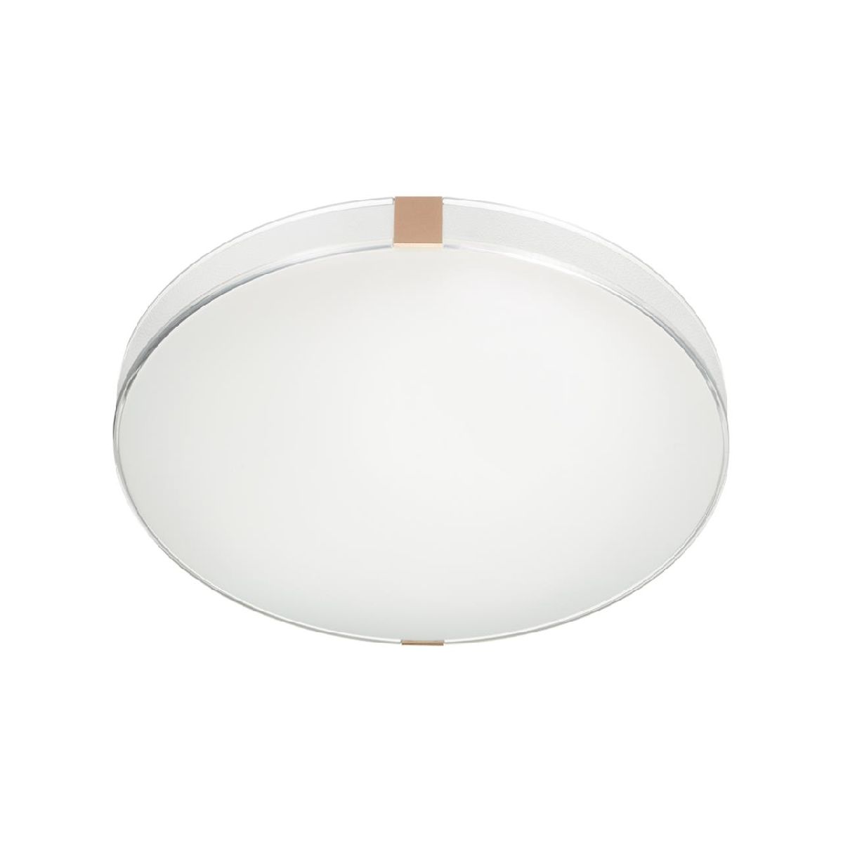 Настенно-потолочный светильник Sonex Otiga white 7676/DL