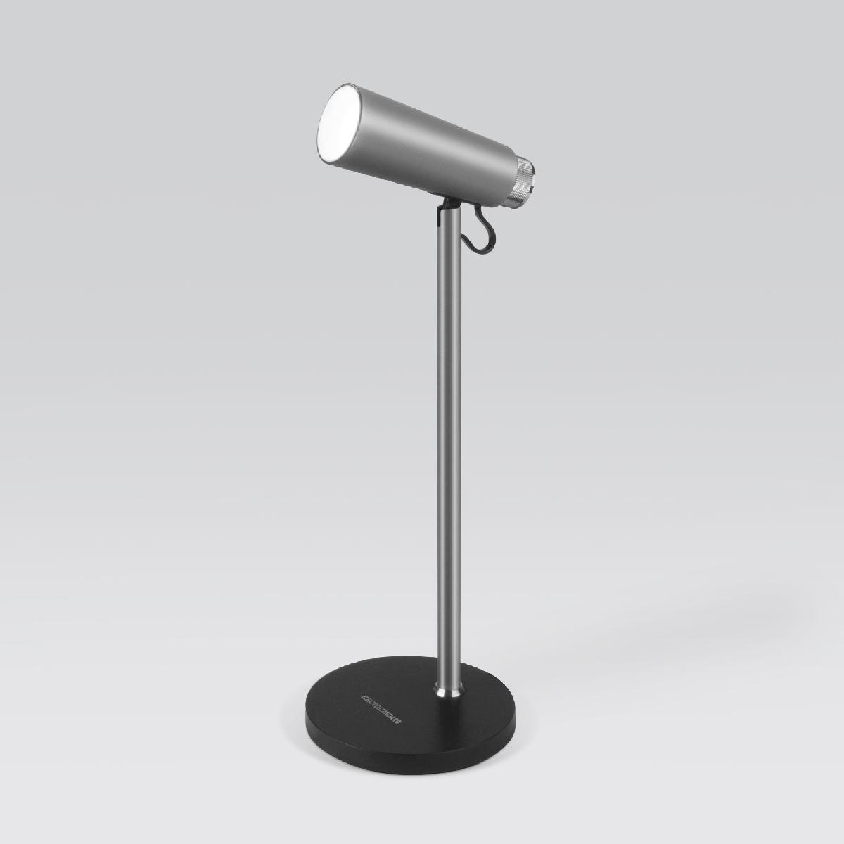 Настольная лампа Elektrostandard Joel серебро/хром (TL70190)