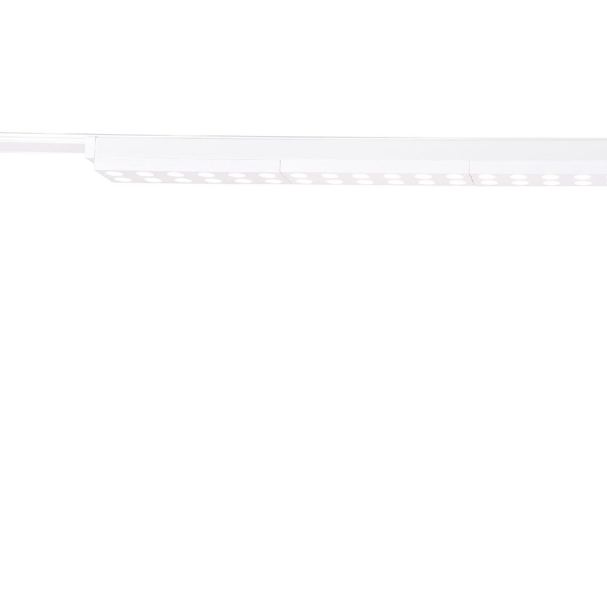 Трековый магнитный светильник Favourite Unica 4140-2C