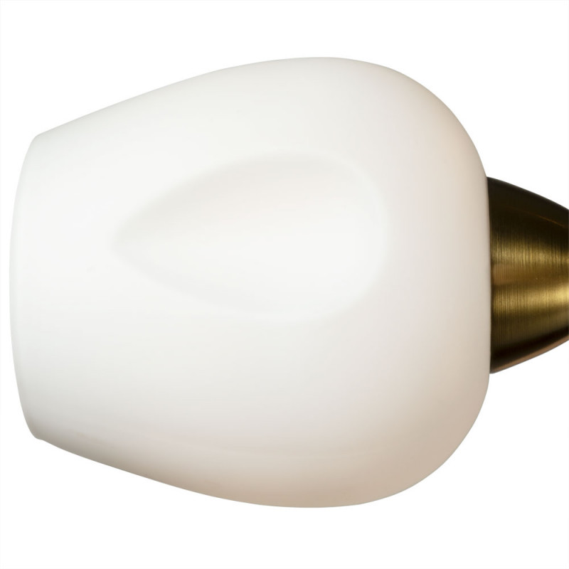 Потолочная люстра ARTE Lamp A2706PL-5CK