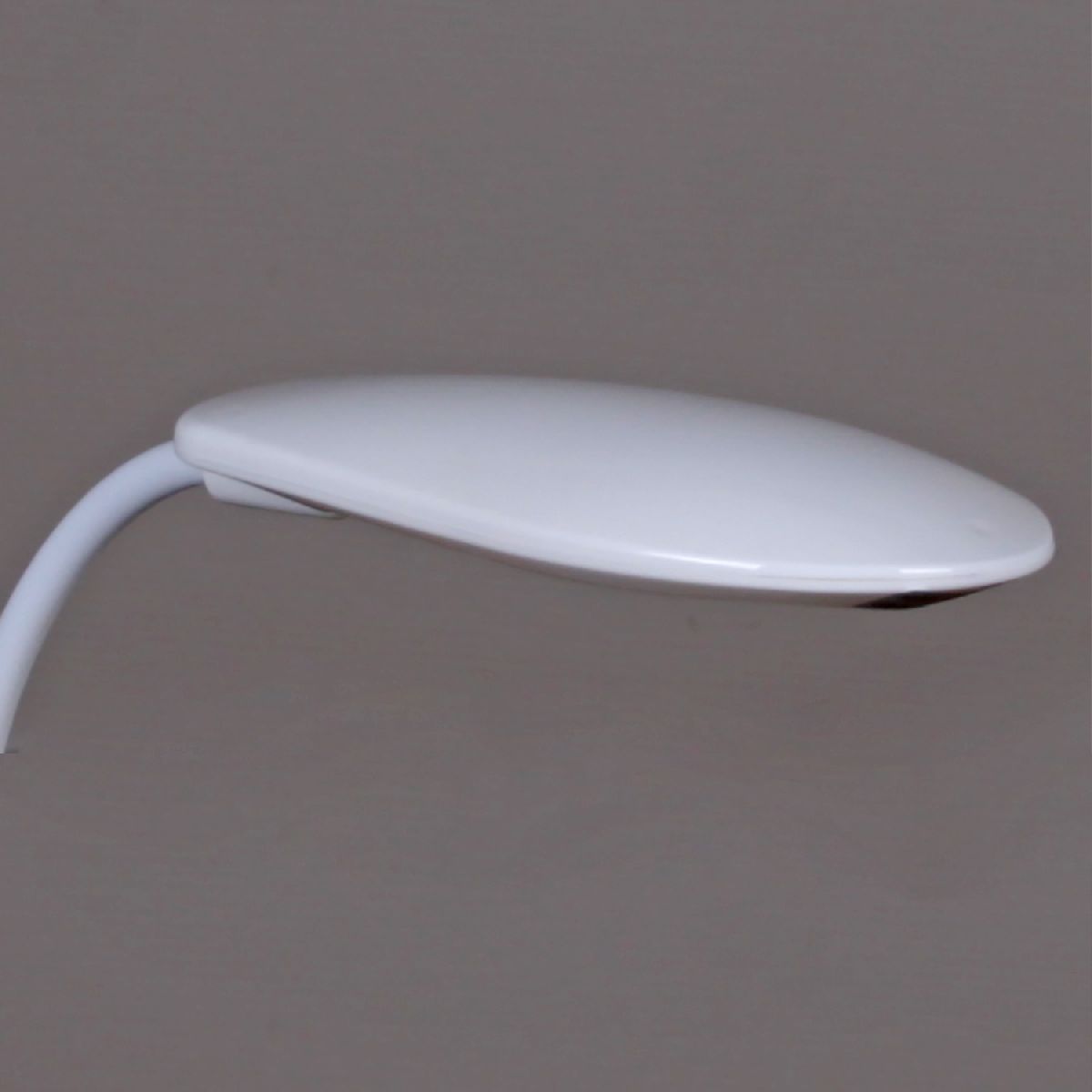 Настольная лампа Reluce 02319-0.7-01 WH (1813