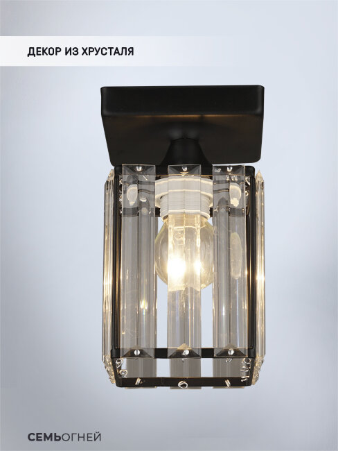 Потолочный светильник Wedo Light Netta WD3519/1C-BK-CL
