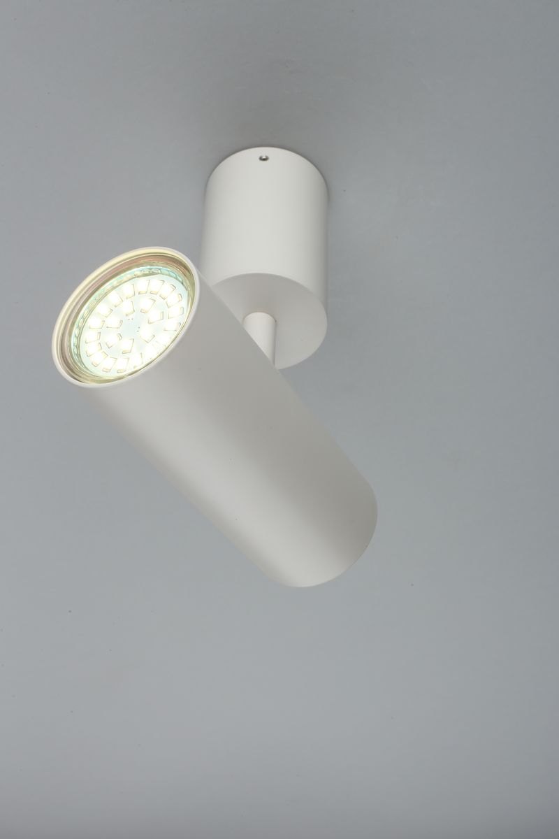 Настенно-потолочный светильник Aployt Berenis APL.007.02.01