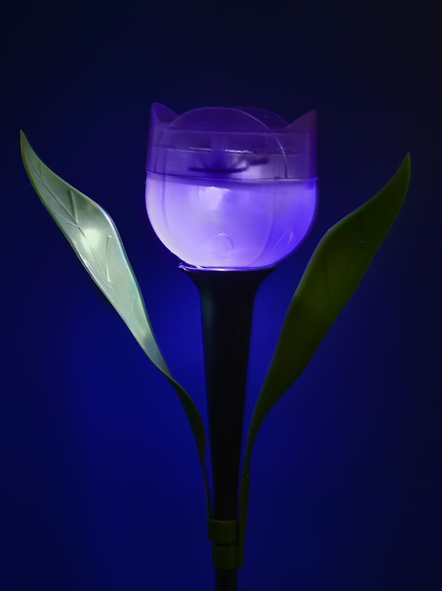 Светильник на солнечных батареях (UL-00004278) Uniel Promo USL-C-453/PT305 Purple Tulip в #REGION_NAME_DECLINE_PP#