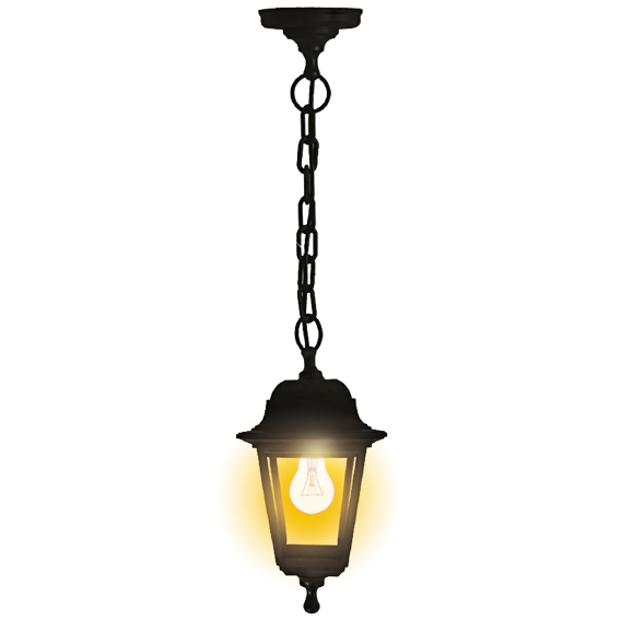 Уличный подвесной светильник Duwi Basis 24136 2