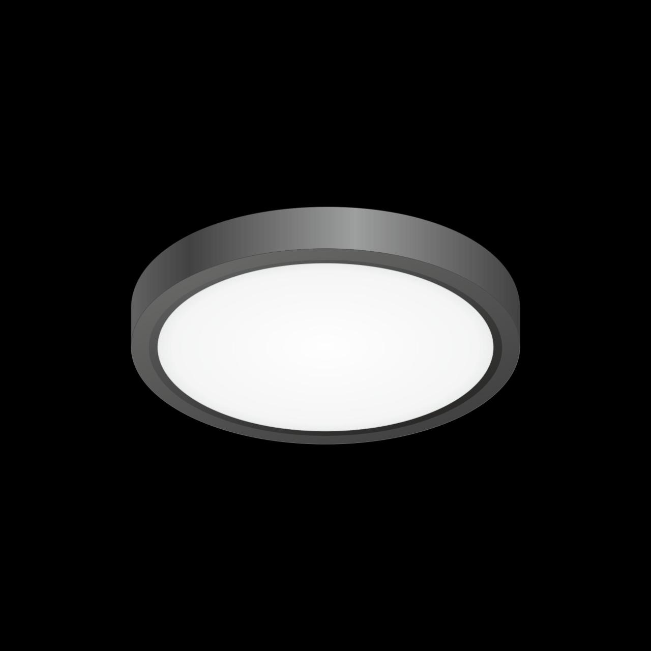 Накладной светильник Citilux CL738121N