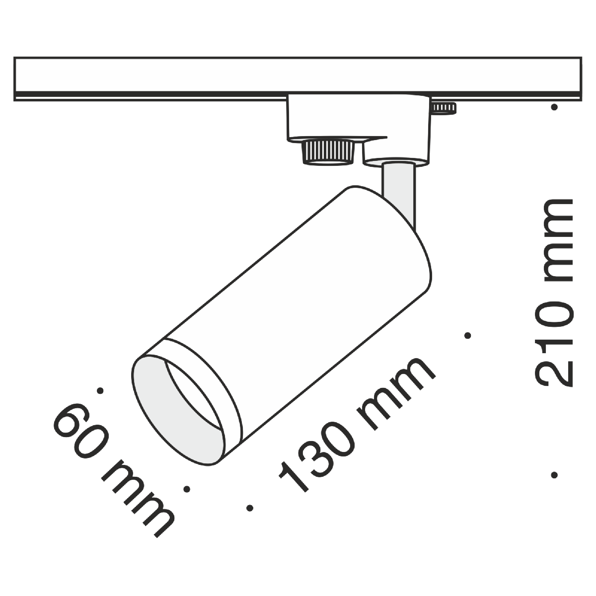 Трековый светильник Maytoni Focus TR004-1-GU10-MG