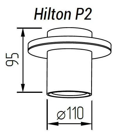 Накладной светильник TopDecor Hilton P2 12