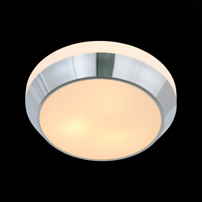 Потолочный светильник ST Luce Bagno SL469.502.03