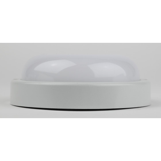 Настенно-потолочный светильник Эра SPB-201-0-65K-018 Б0054580