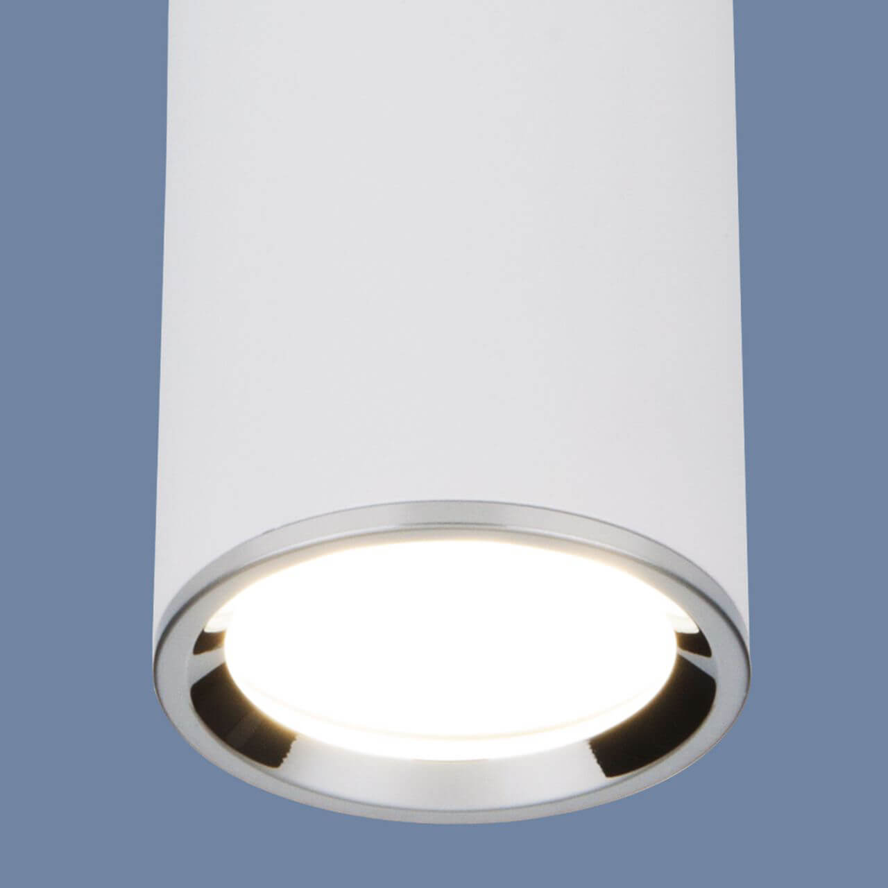 Потолочный светильник Elektrostandard DLN101 GU10 WH белый 4690389135859