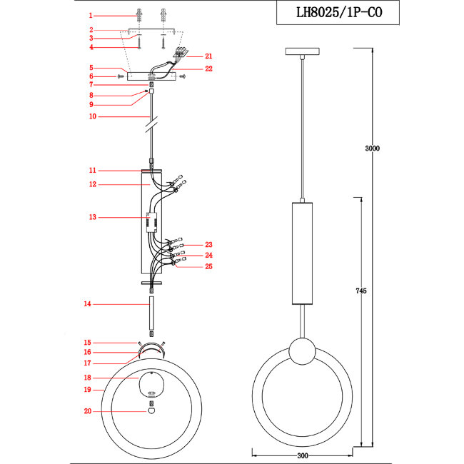 Подвесной светильник Lumien Hall Dorian LH8025/1P-CO