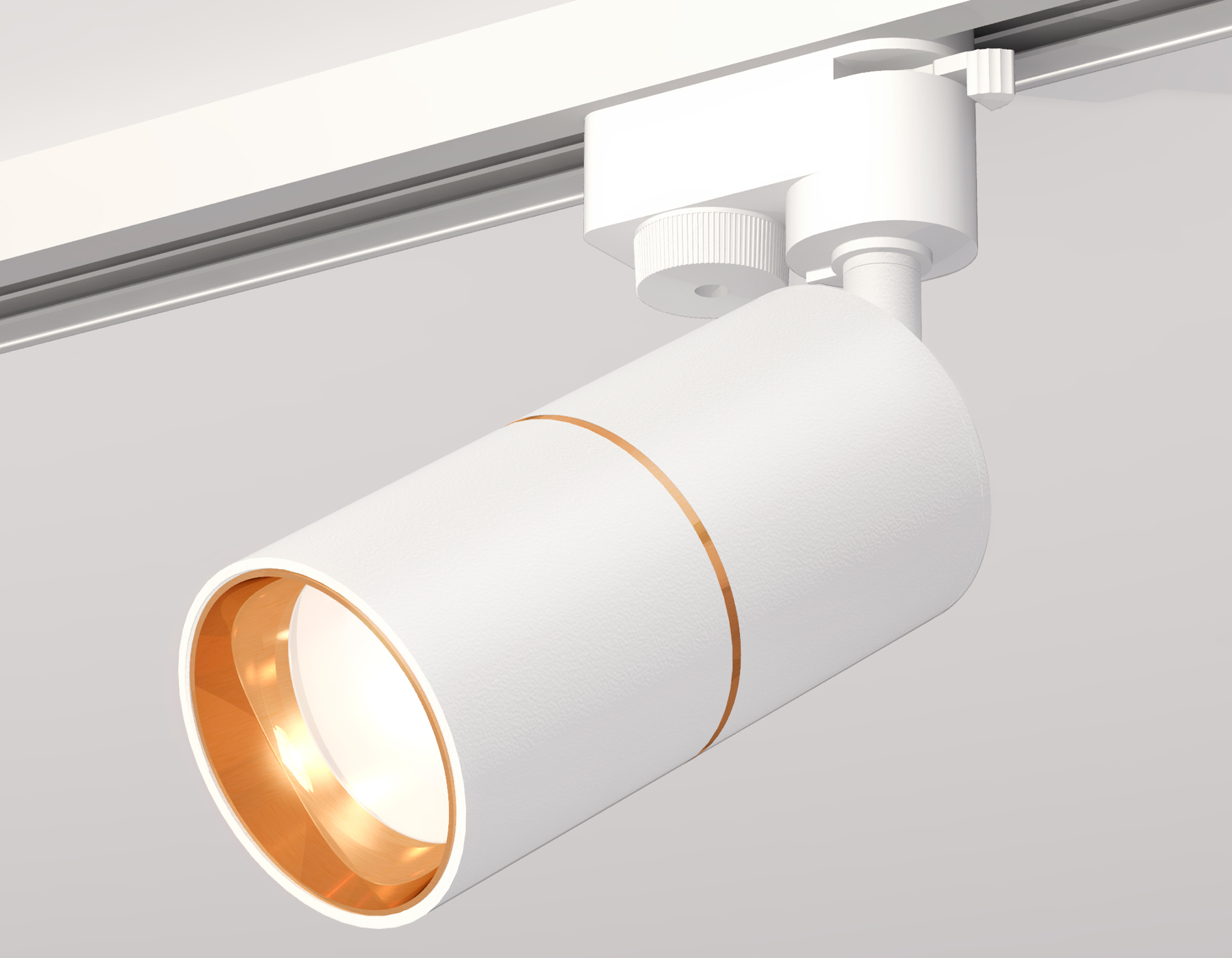 Трековый однофазный светильник Ambrella Light Track System XT6301020 (A2520, C6301, A2062, C6301, N6113)