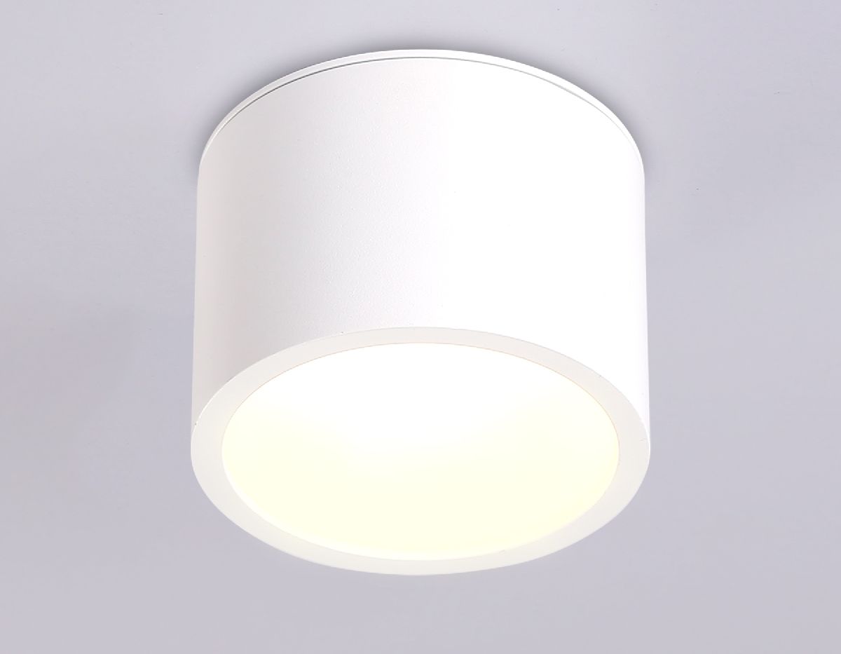 Накладной светильник Ambrella Light IP Protect TN6550