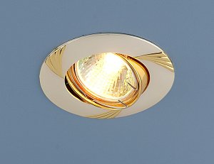 Встраиваемый светильник Elektrostandard 8004 MR16 PS/GD перламутровое серебро/золото 4690389063329