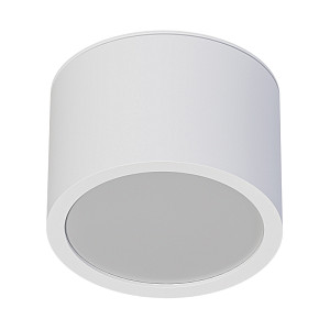 Накладной светильники Arte Lamp Intercrus A5543PL-1WH