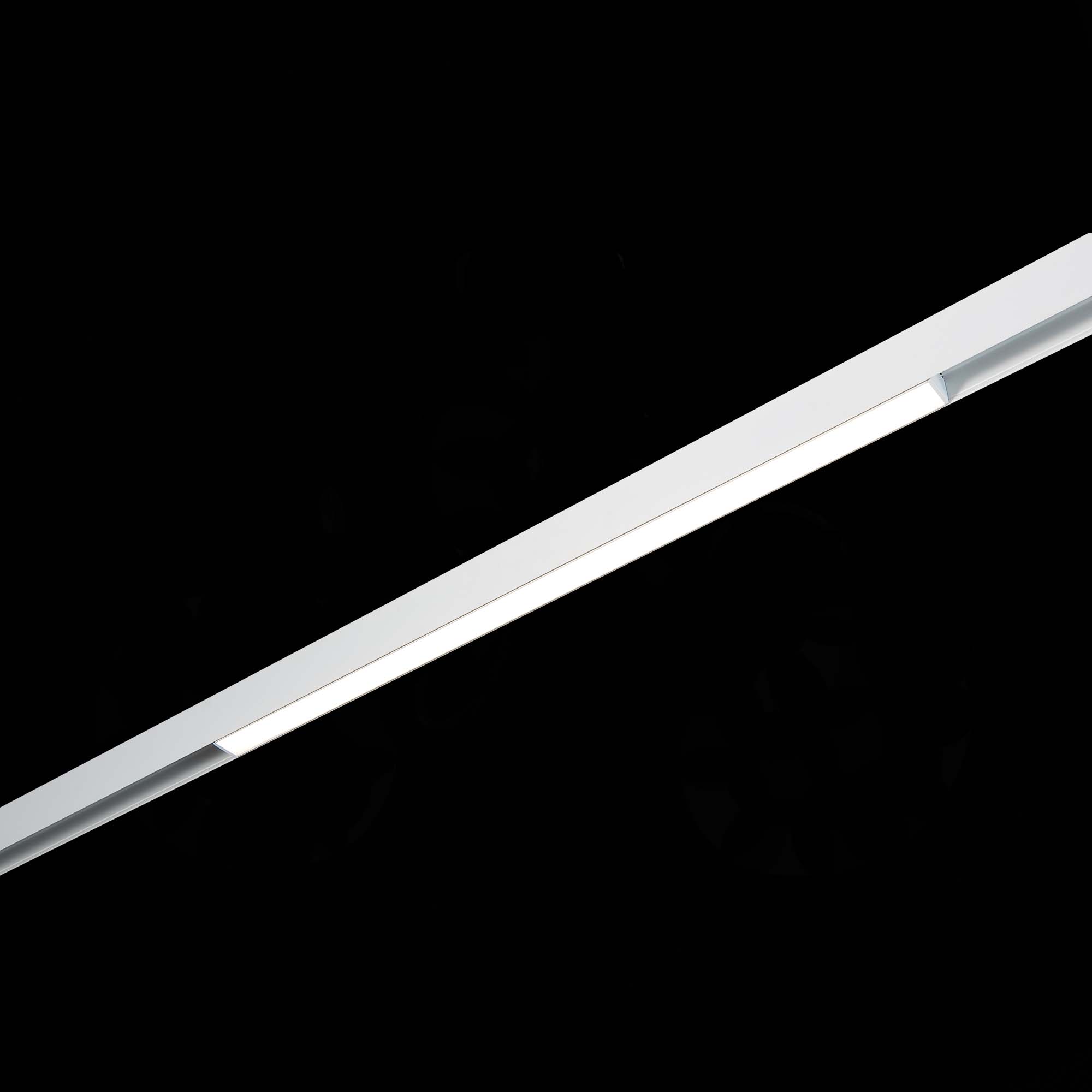 Однофазный магнитный трековый светильник ST Luce Skyline 48 ST360.546.20