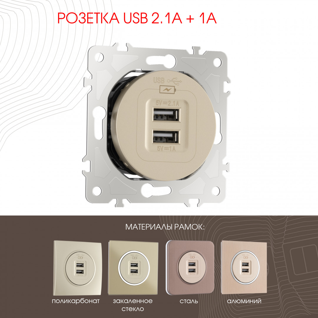 Розетка USB 2.1А+1А Arte Milano 202.46-1.shampan