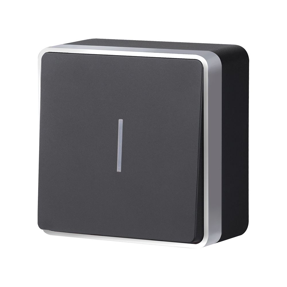 Выключатель одноклавишный с подсветкой Werkel Gallant (черный с серебром) W5010134 4690389163838 a051150