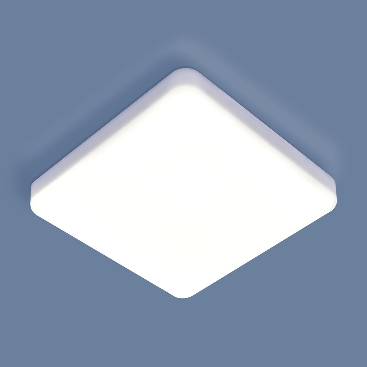 Потолочный светильник Elektrostandard DLS043 10W 4200K a047941