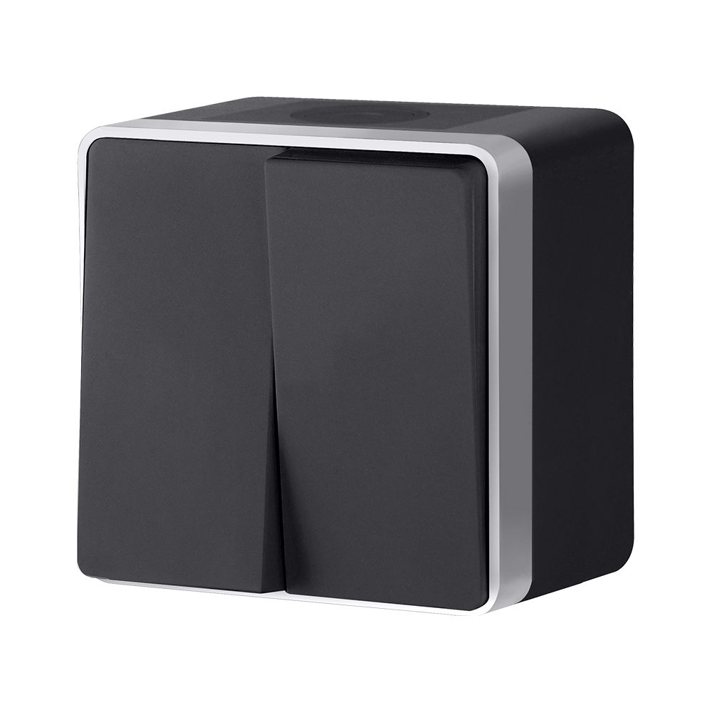 Выключатель двухклавишный влагозащищенный Werkel Gallant (черный с серебром) W5020234 4690389164279 a051154