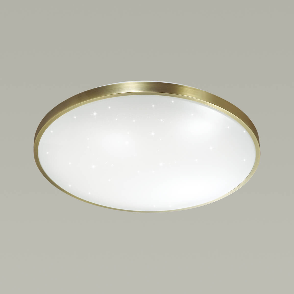 Настенно-потолочный светодиодный светильник Sonex Lota Bronze 2089/CL