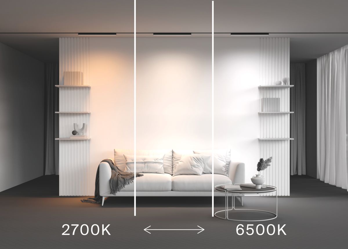 Трековый магнитный светильник Maytoni Technical Basis Radity TR080-4-20WTW-B