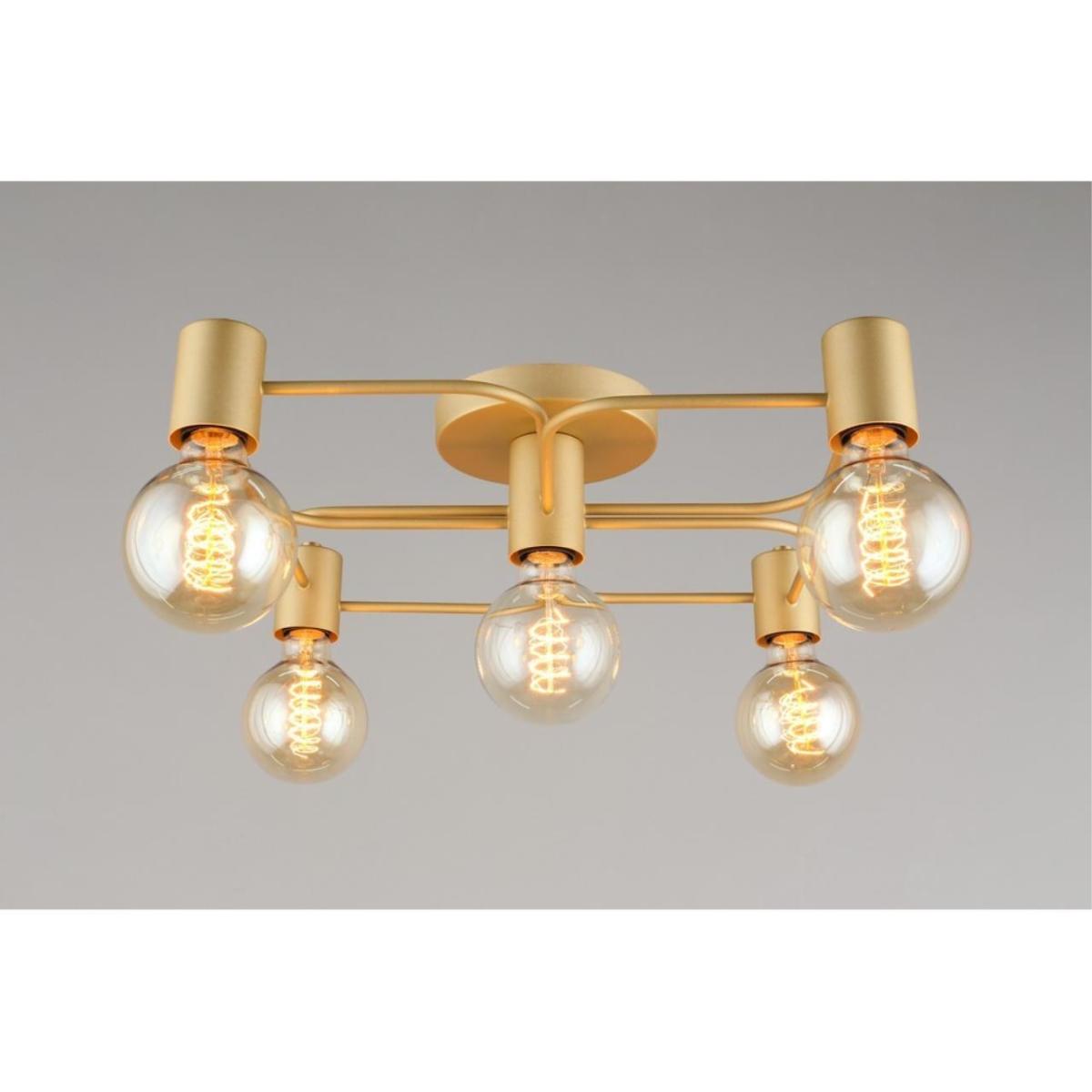 Потолочная люстра Aployt Elison APL.911.07.05