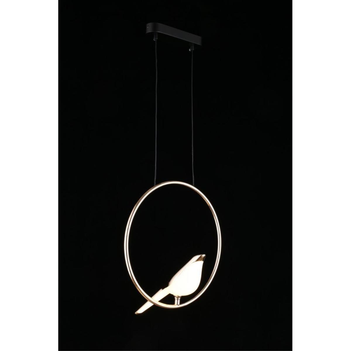 Подвесной светодиодный светильник Aployt Astor APL.822.06.10