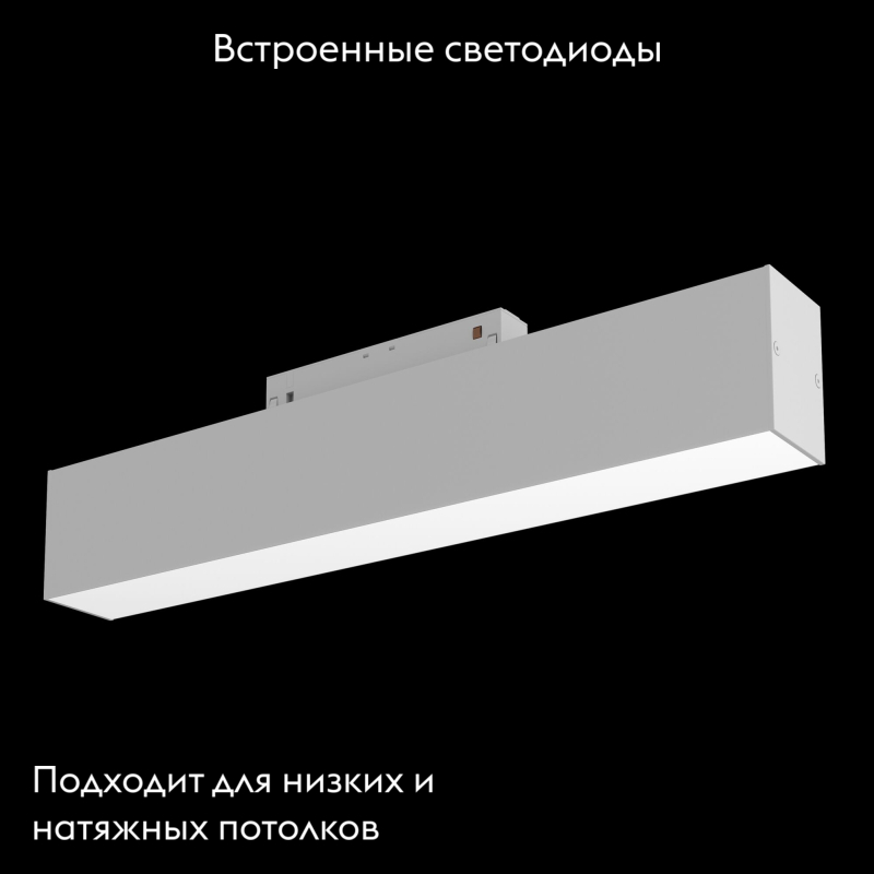 Трековый светильник Maytoni BASIS TR012-2-12W3K-W