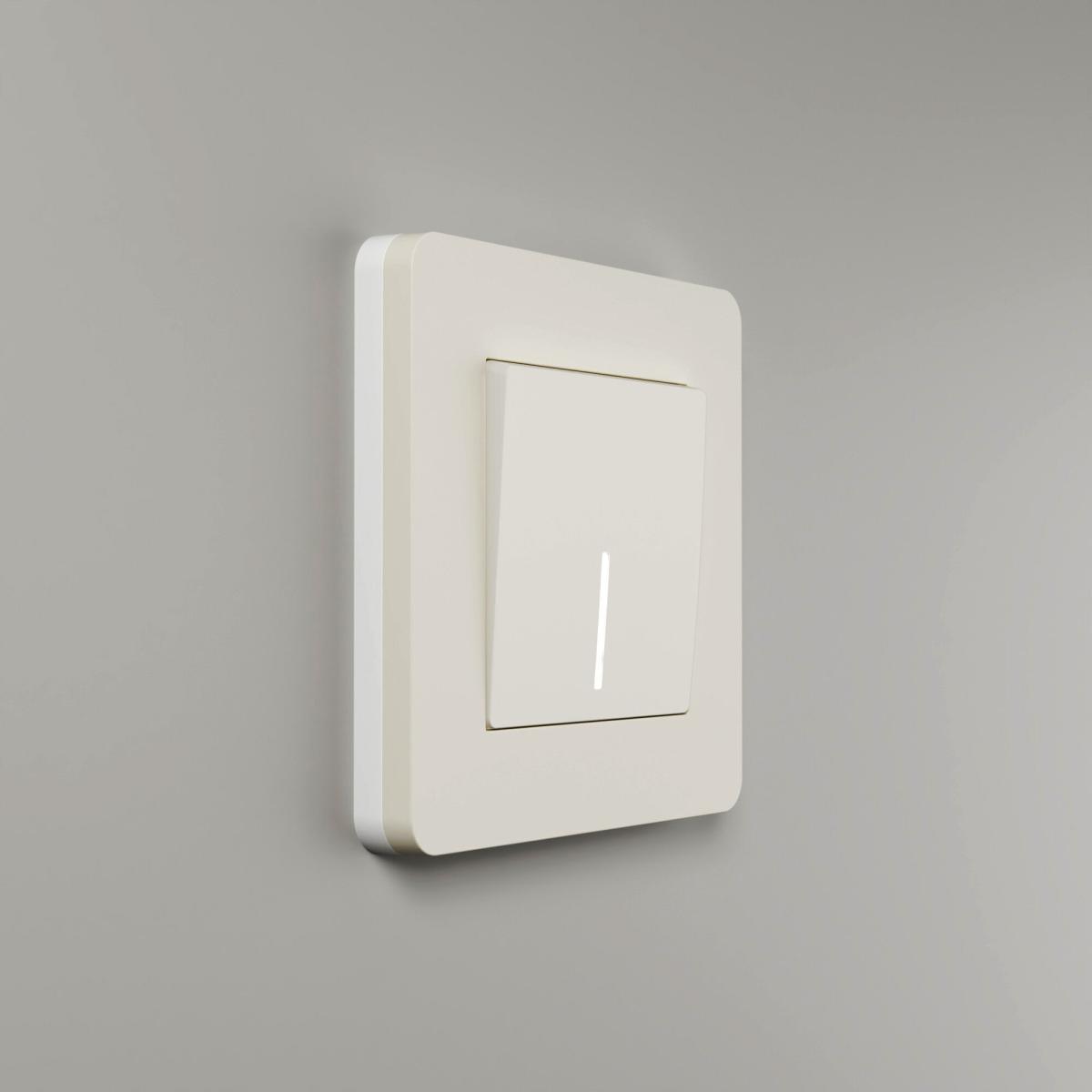 Рамка одноместная Werkel Split 4690389206016 W0013066 a067251 в Москве