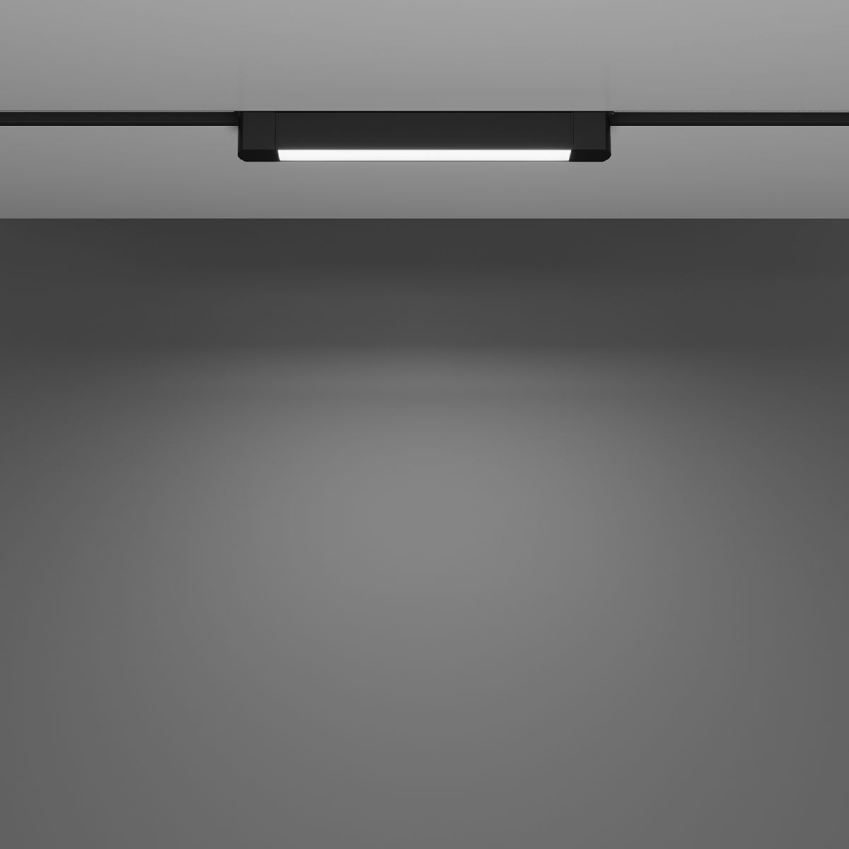 Трековый однофазный светильник Maytoni Basis Rot TR104-1-10W4K-B