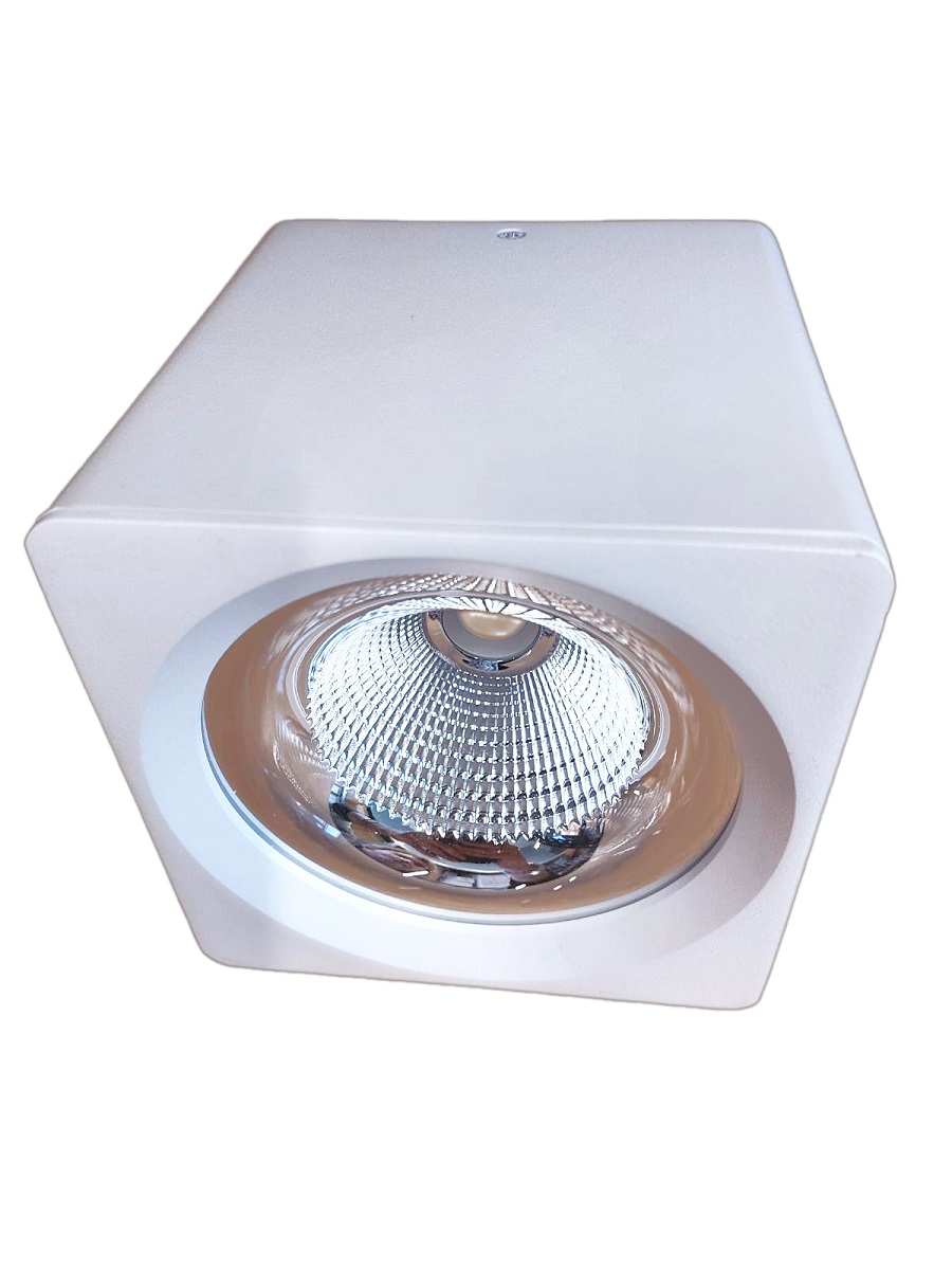 Накладной светодиодный светильник Fiberli CH-SD220-1(W) 12120103