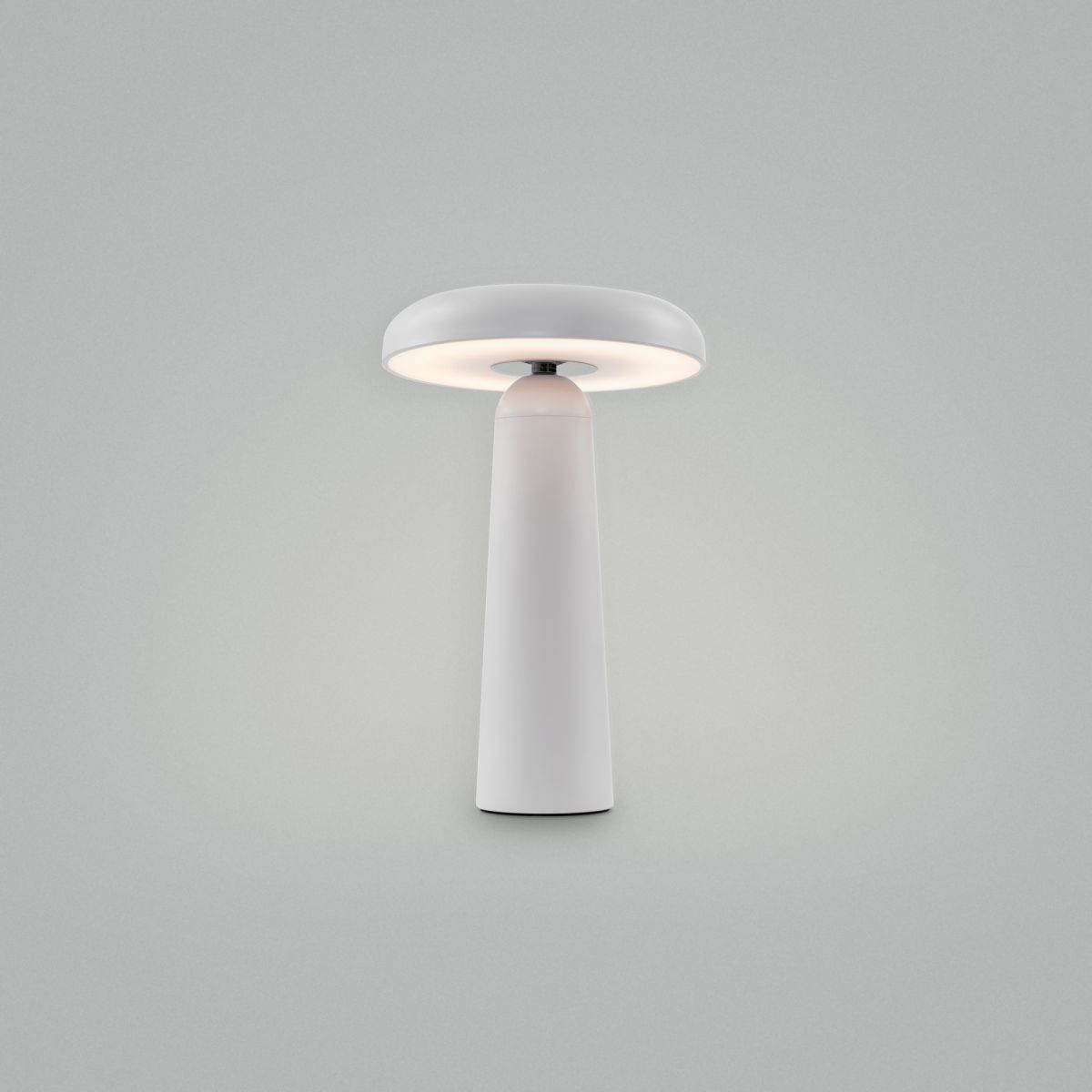 Настольная аккумуляторная лампа Freya Mushroom FR6109TL-L4W