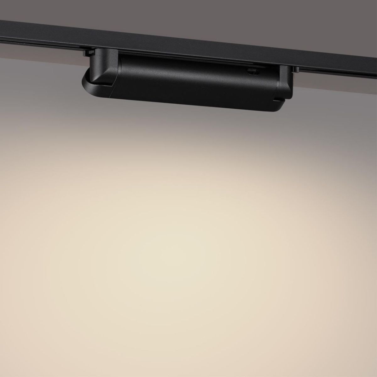 Трековый однофазный двухжильный светильник с переключателем цветовой температуры Novotech Port Iter 359792