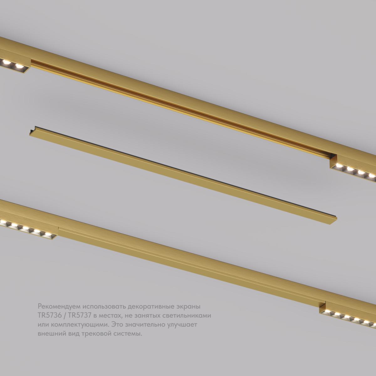 Декоративная заглушка желоба трека Denkirs Shine Base TR5737-SB