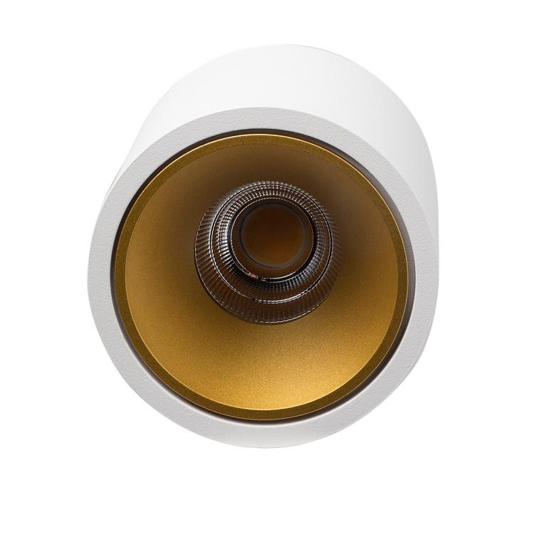 Влагозащищенный светильник LeDron RINBOK White/Gold