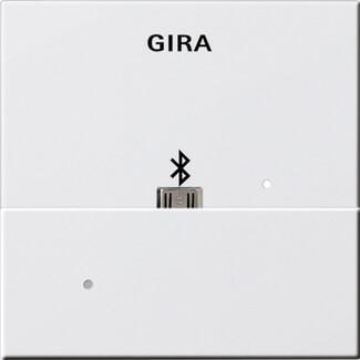 Лицевая панель USB Mikro-B Gira System 55 для вставки док-станции чисто-белый шелковисто-матовый 228503