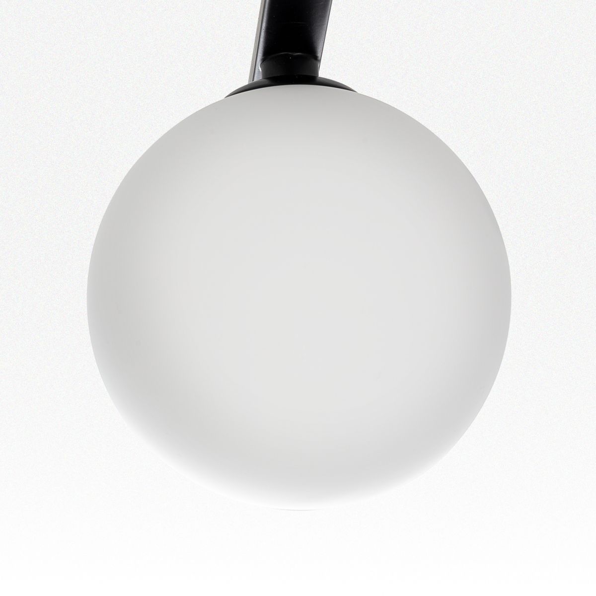 Потолочная люстра Citilux Glob CL209261