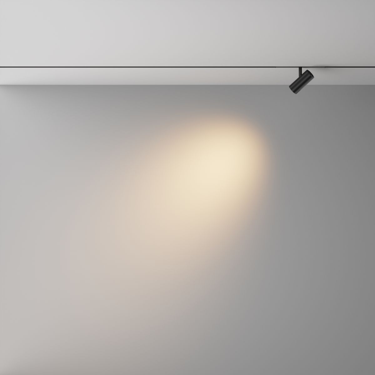 Трековый магнитный светильник Maytoni Technical Focus Led Exility X TR243-4-5WTW-DD2-B