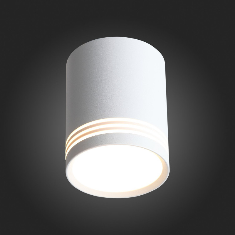 Потолочный светодиодный светильник ST Luce Cerione ST101.542.12