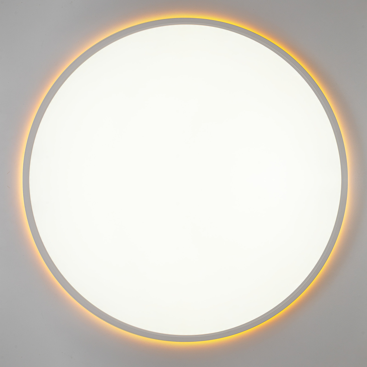 Потолочный светильник Citilux Norma LED RGB CL749600