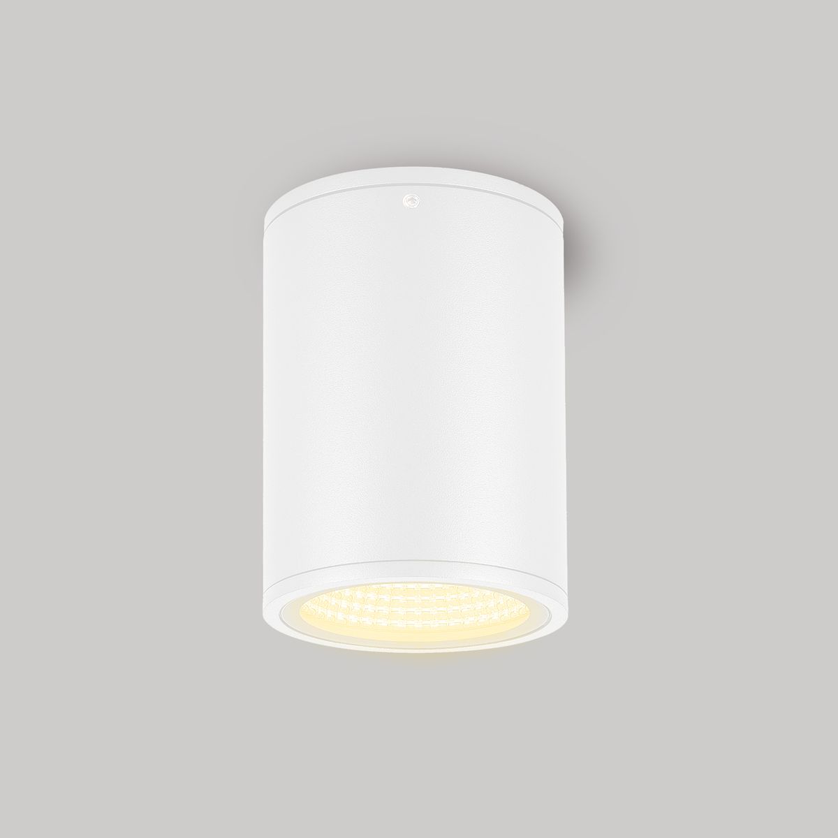 Уличный потолочный светильник Arlight LGD-Forma-Surface-R90-12W Warm3000 037261
