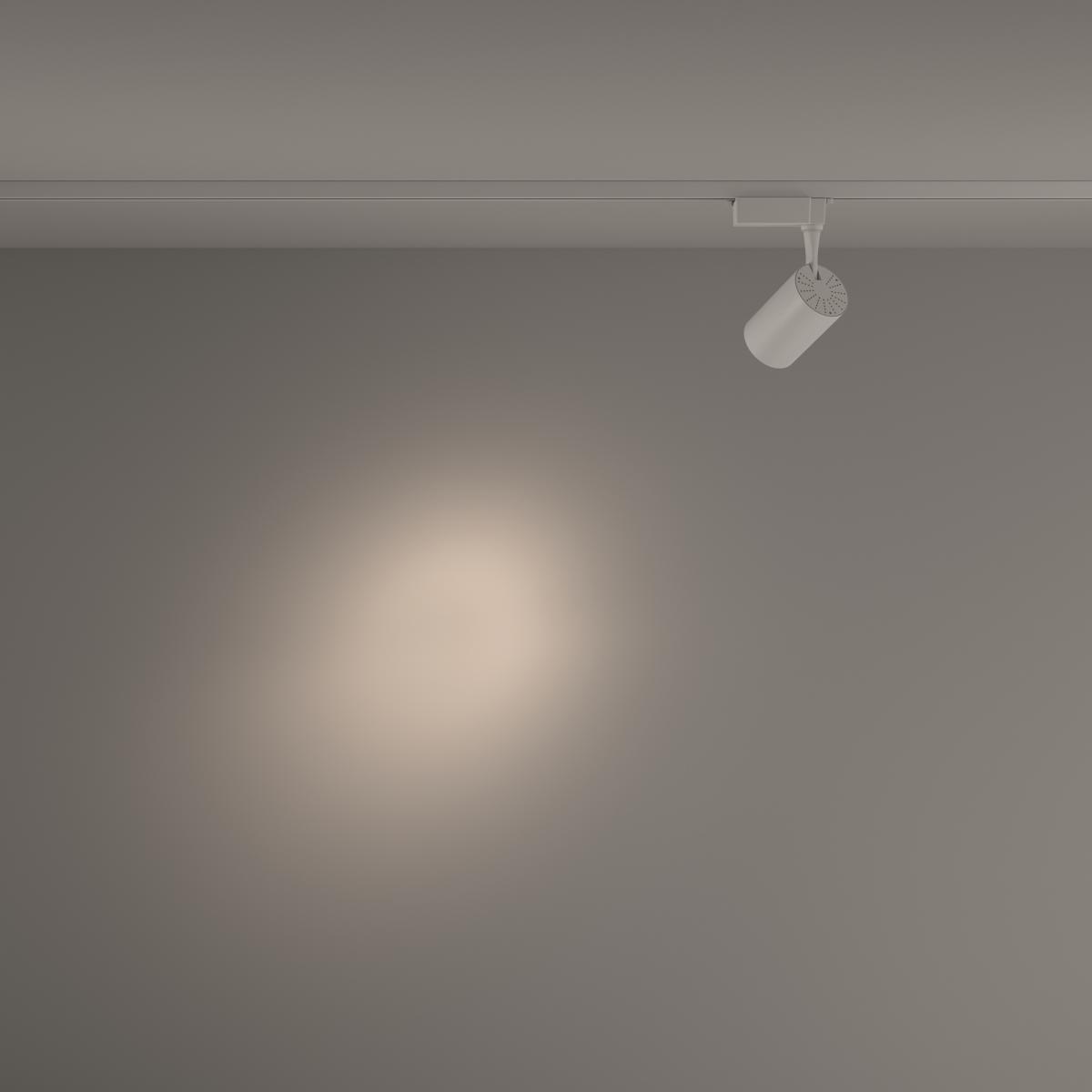 Трековый светильник Maytoni Technical Vuoro TR003-1-10W4K-S-W