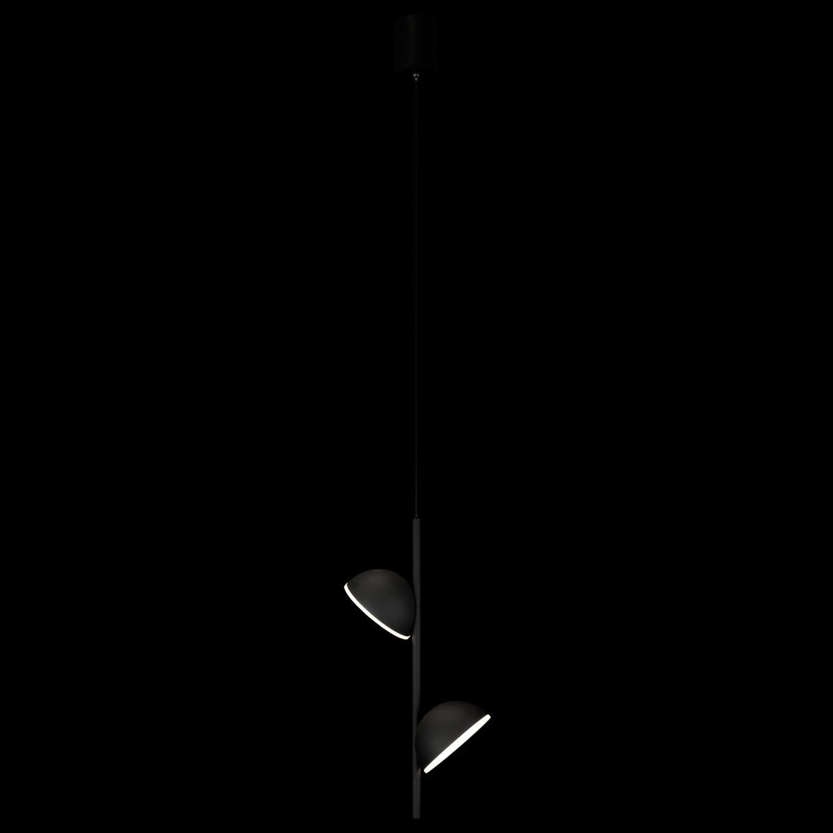 Подвесной светильник Loft IT Mons 10335 Black