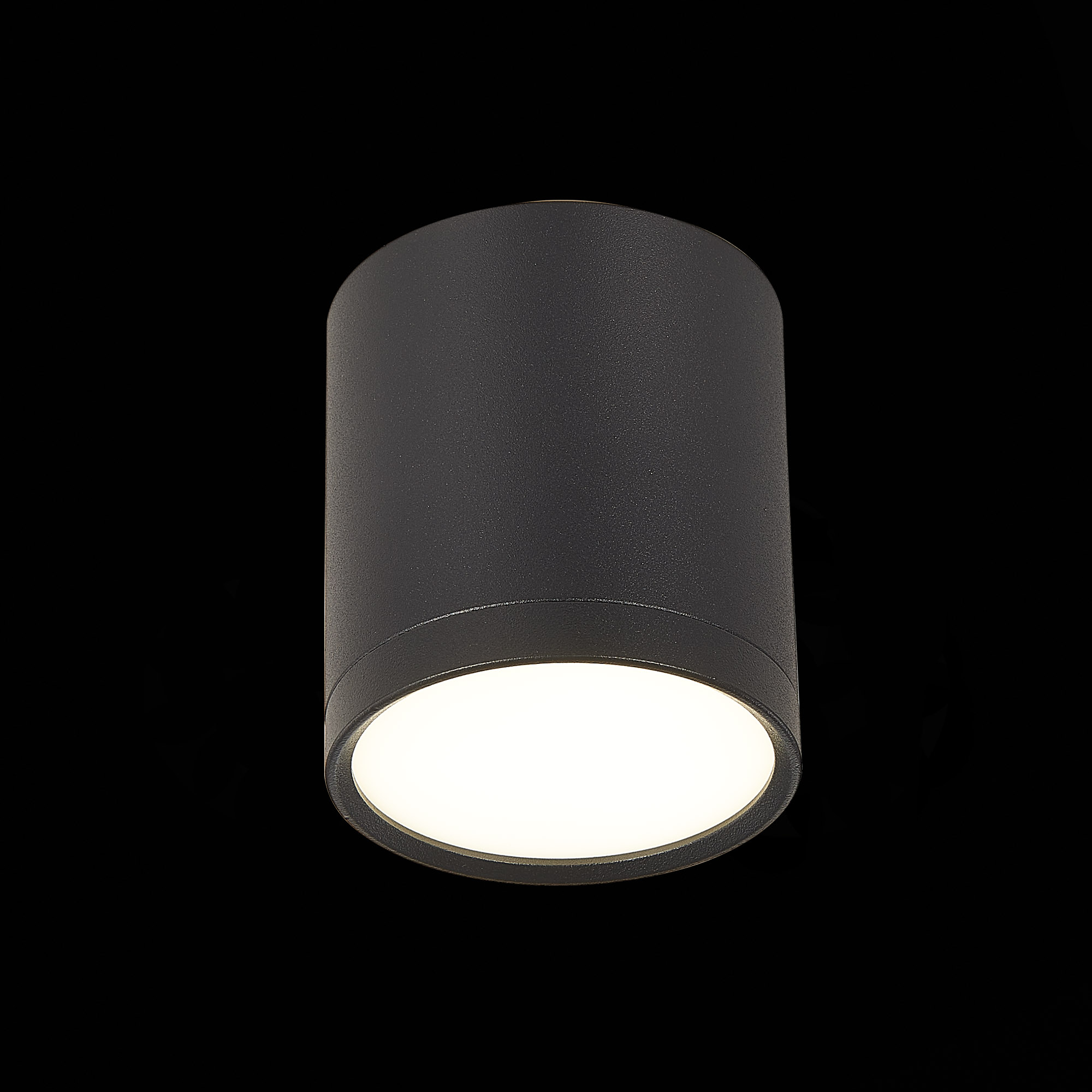 Потолочный светильник ST Luce Rene ST113.442.05