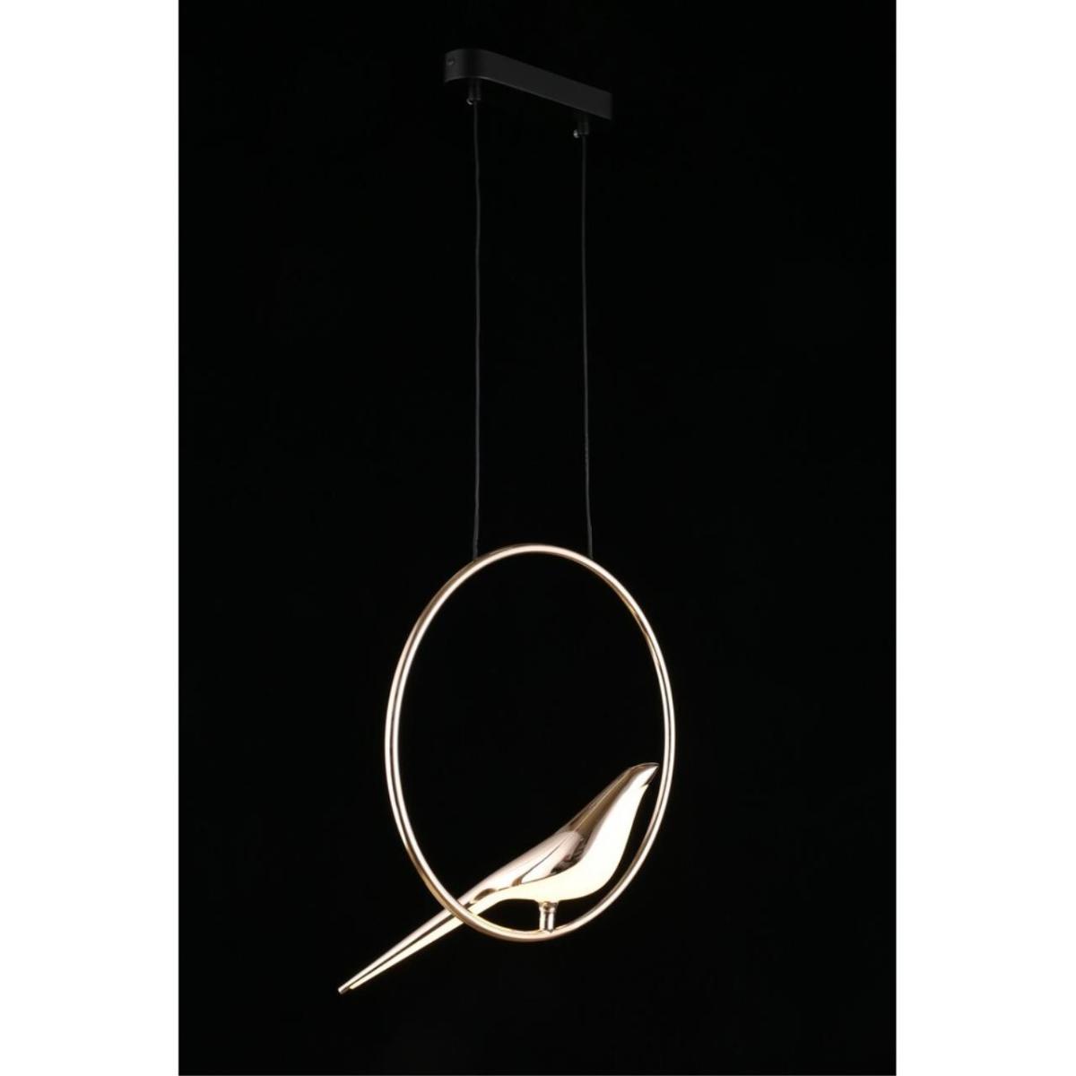 Подвесной светодиодный светильник Aployt Astor APL.822.06.10