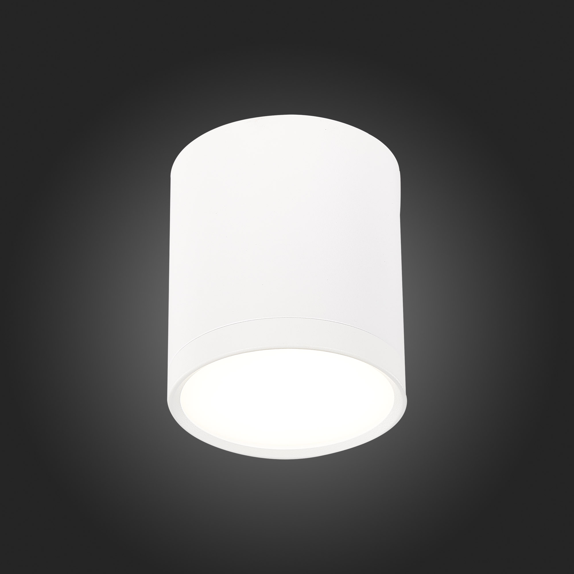 Потолочный светильник ST Luce Rene ST113.542.05 в #REGION_NAME_DECLINE_PP#